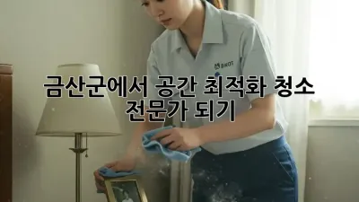 금산군에서 공간 최적화 청소 전문가 되기